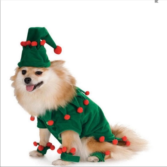 DOG ELF COSTUME - www.anamikakhanna.in